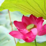 施術後も“治る力”が働き続ける身体づくり｜カームメソッドの特徴⑤