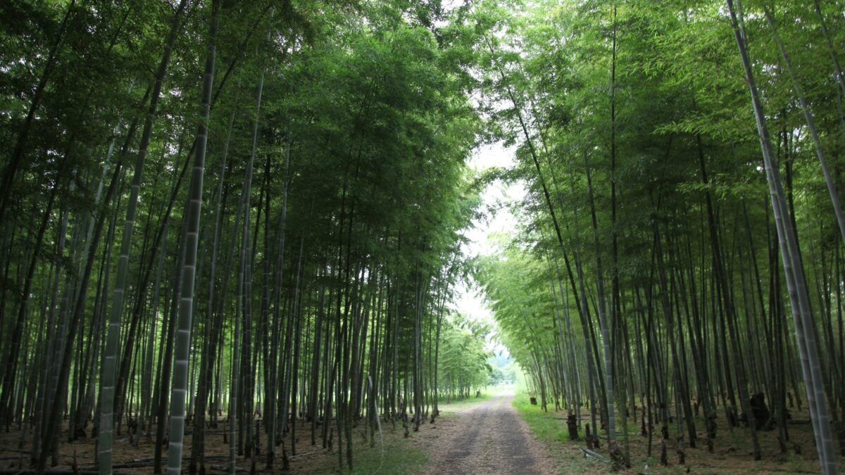 東洋医学×骨格調整で導く本質的な変化｜カームメソッドの特徴④