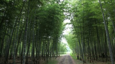 東洋医学×骨格調整で導く本質的な変化｜カームメソッドの特徴④