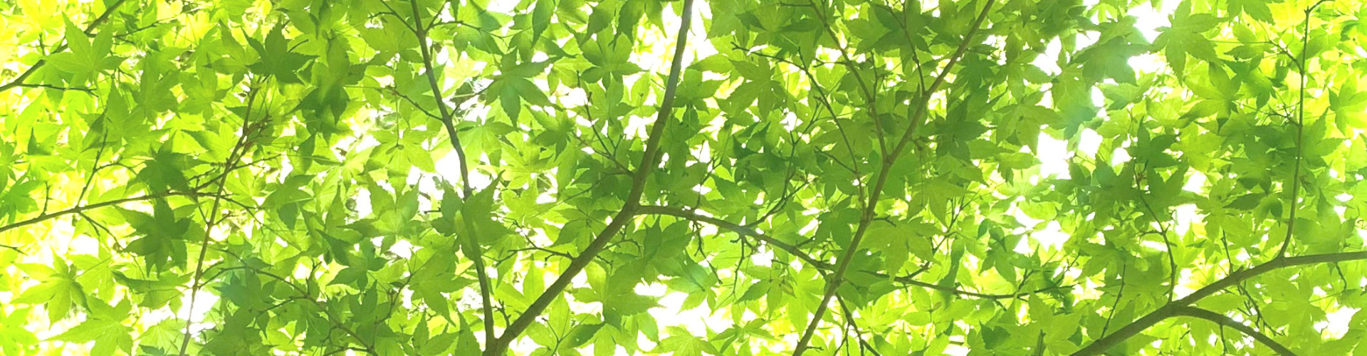 体が整うと
生き方が静かに変わる